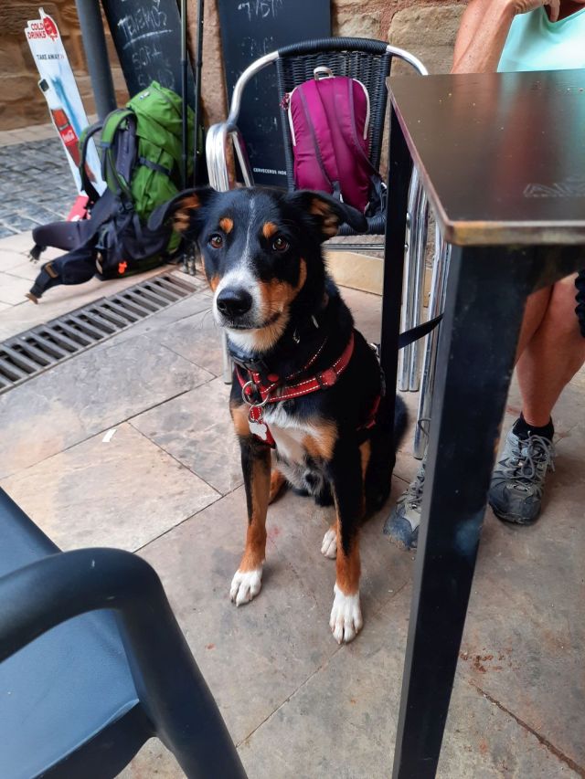 Dag 9 Logrono - Ventosa 83