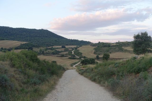DSC01164