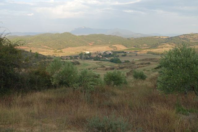 DSC01171