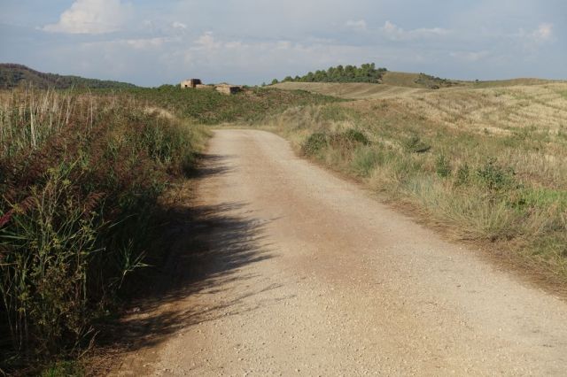 DSC01185