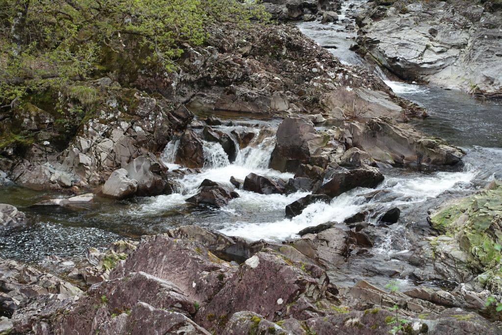 DSC04870