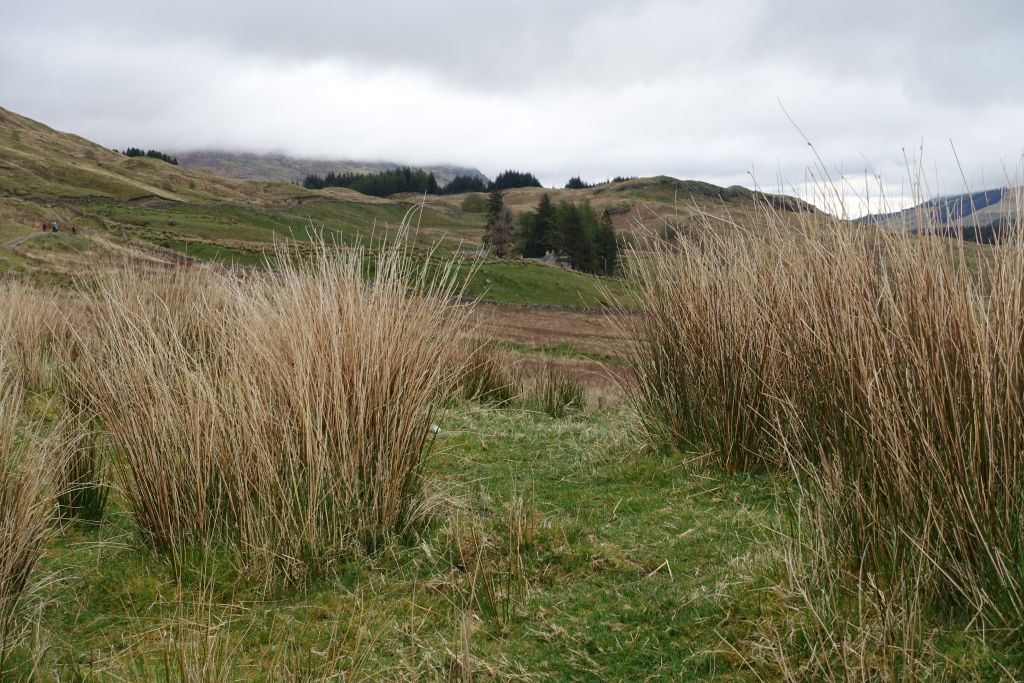 DSC04929