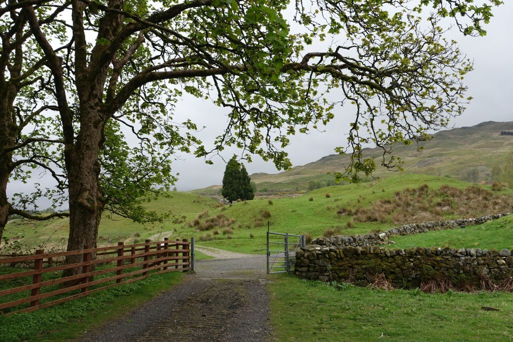 DSC04982