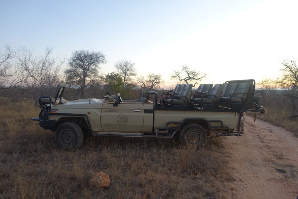 Safari dag 3 kväll 79