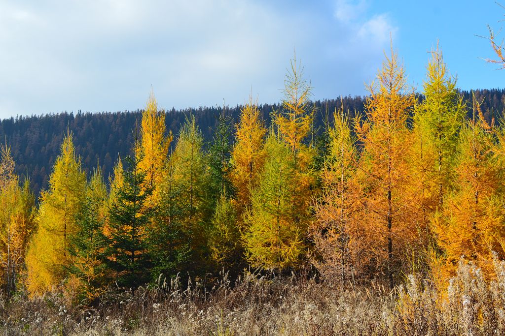 Štrbské Pleso - Popradské Pleso 149