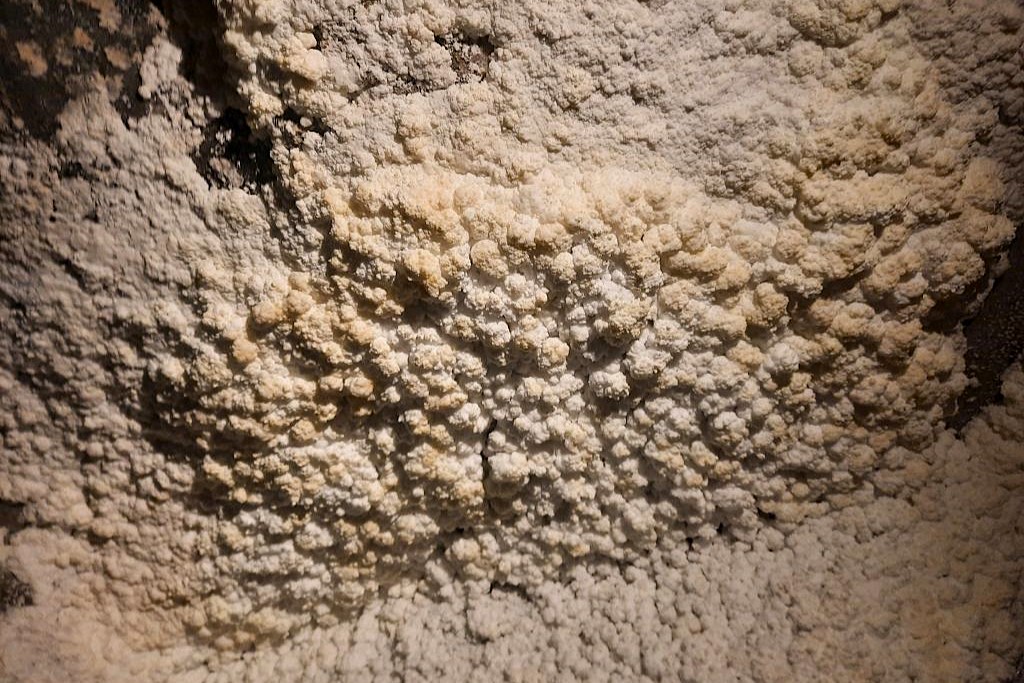 Wieliczka saltgruva 35