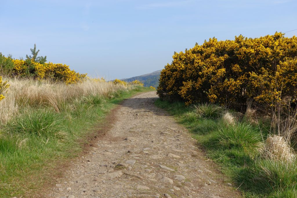 WHW dag 1 Milgavie - Drymen 149