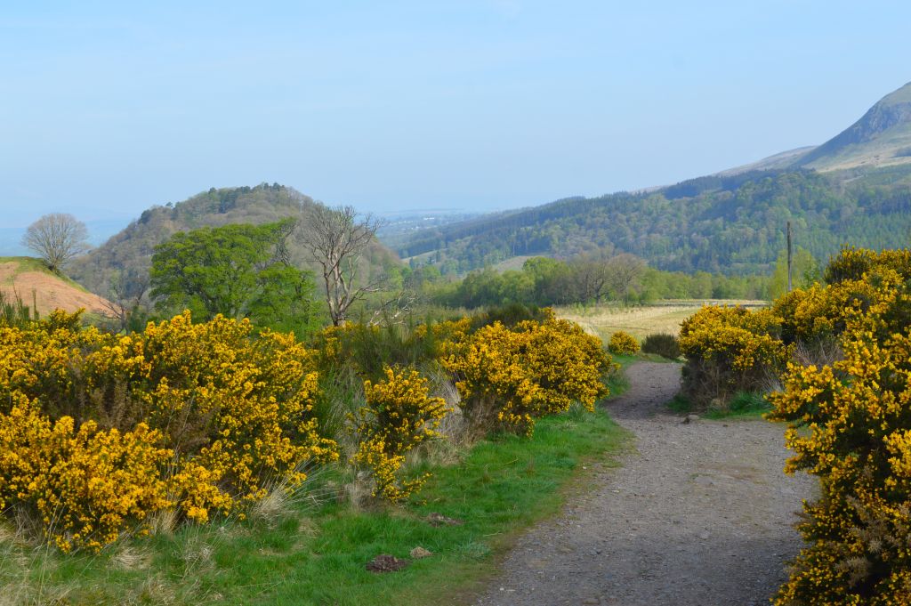 WHW dag 1 Milgavie - Drymen 161