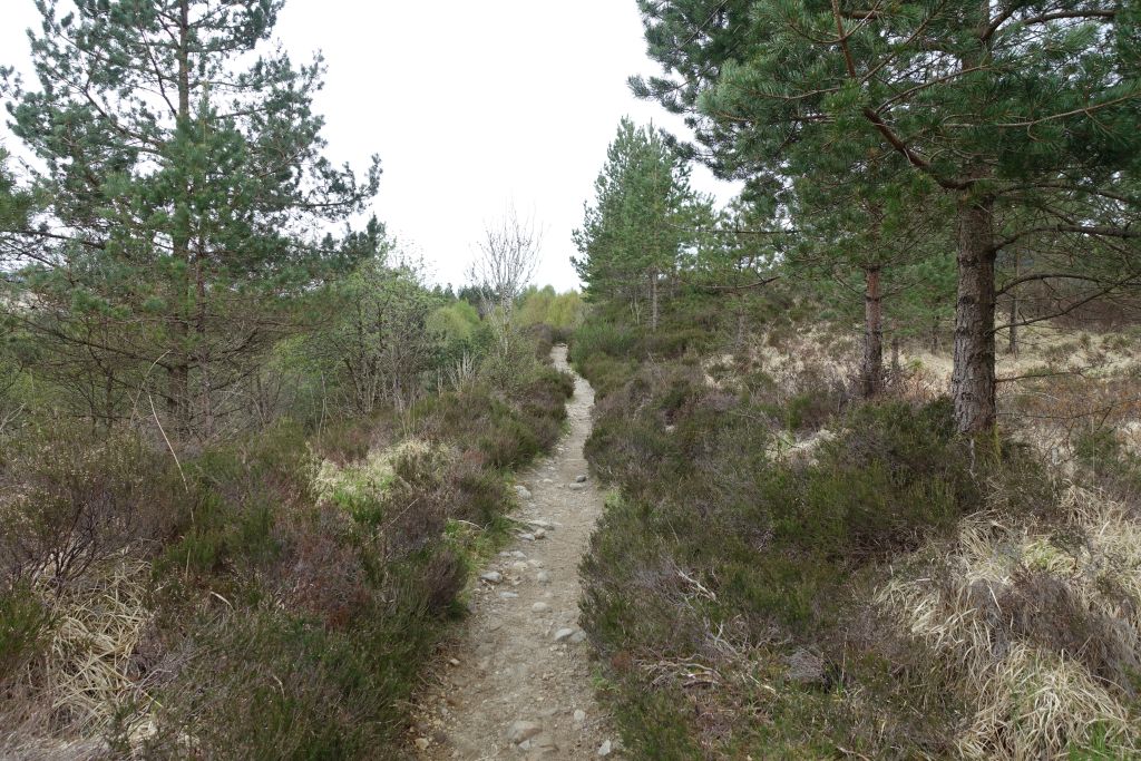 WHW dag 4 Inverarnan - Tyndrum 224